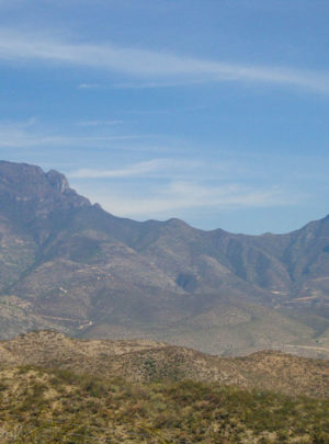 Mexico Mountains Damiana